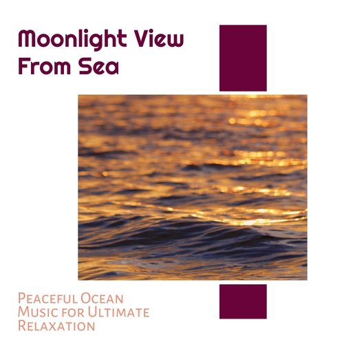 White Noise Ocean Sound cover art