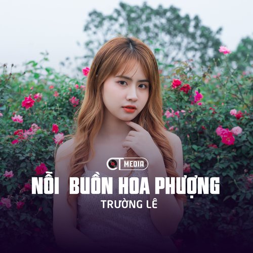 Nỗi Buồn Hoa Phượng (Disco)