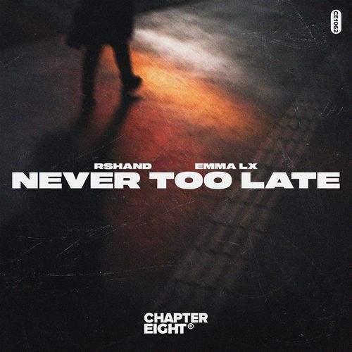 Never Too Late_poster_image