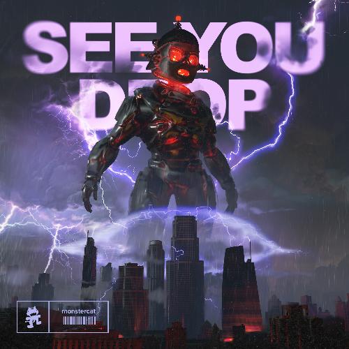 SEE YOU DROP_poster_image