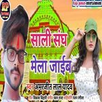 Sali Sangh Mela Jaib