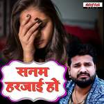 Sanam Harjai Ho