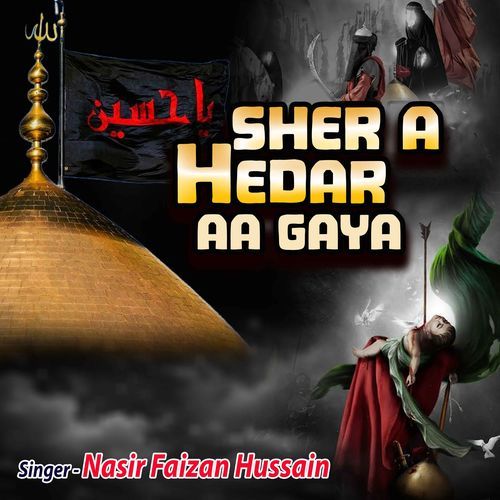 Sher E Haider Ho Gaya