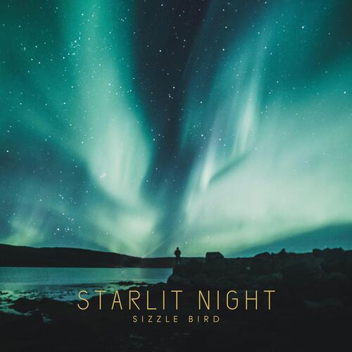 Starlit Night_poster_image