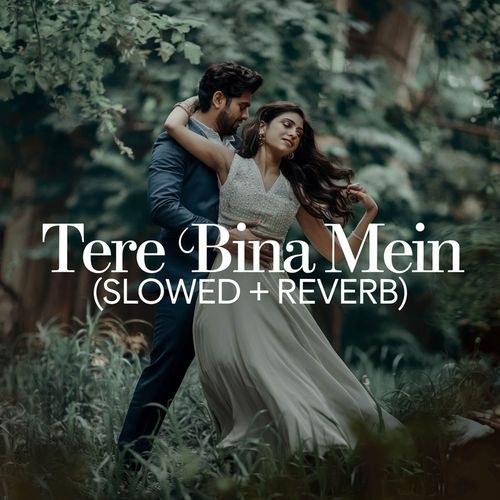 Tere Bina Mein (Slowed + Reverb)