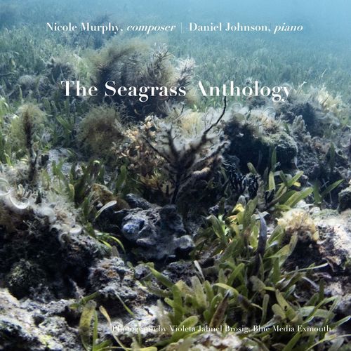 The Seagrass Anthology_poster_image