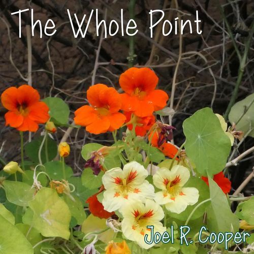 The Whole Point