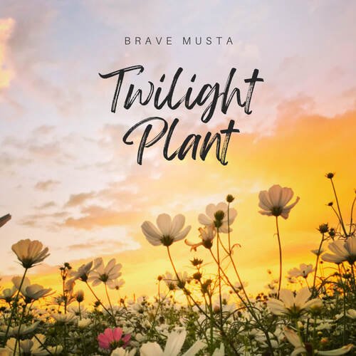 Twilight Plant