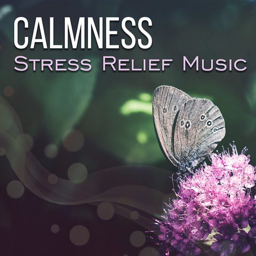 Calmness: Stress Relief Music, Meditation Relaxation, Yoga, Reiki Healing