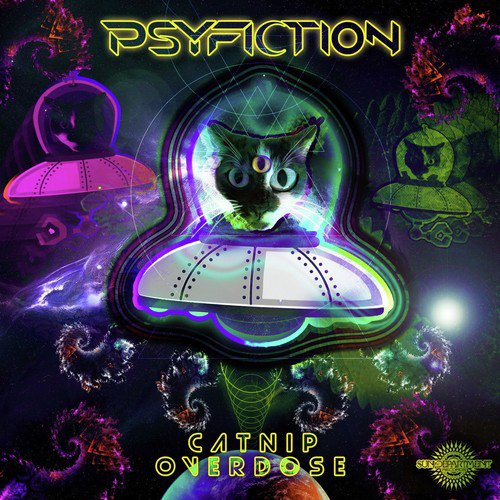 Few Kids on the Drop (Psyfiction Remix) cover art