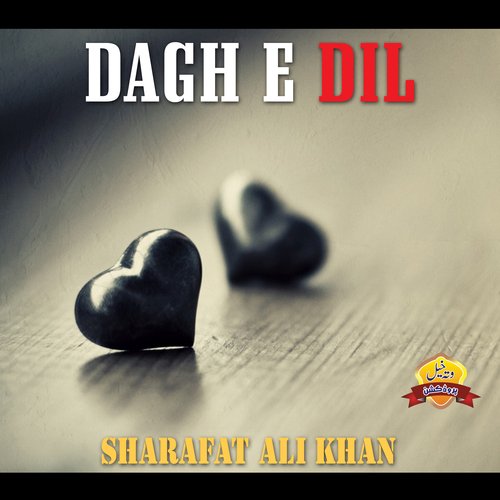 Dagh E Dil