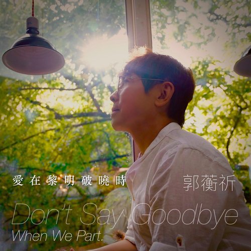 Don&#039;t say goodbye when we part_poster_image