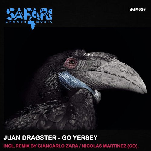 Go Jersey (Giancarlo Zara Remix) cover art