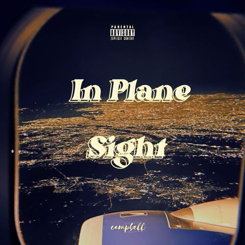 In Plane Sight_poster_image