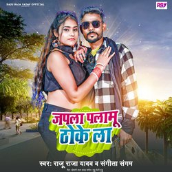 Japla Palamu Thoke La (Bhojpuri Song)-Ax4EAzp4A2w