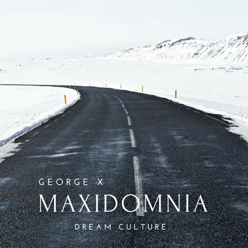 Maxidomnia (Sergio Pari Remix) cover art