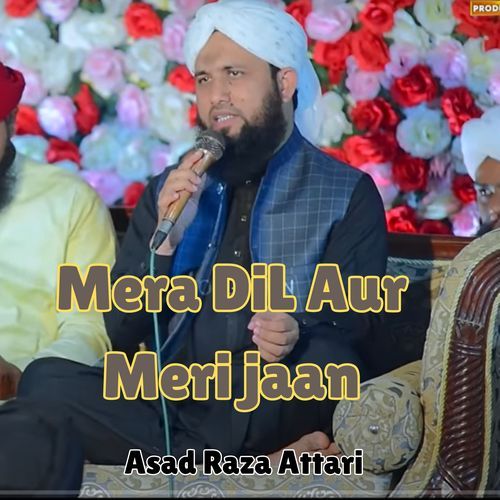 Mera DiL Aur Meri jaan