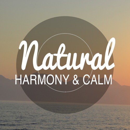 Natural Harmony & Calm