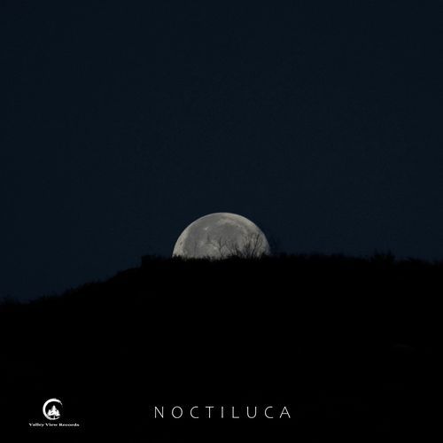 Noctiluca cover art
