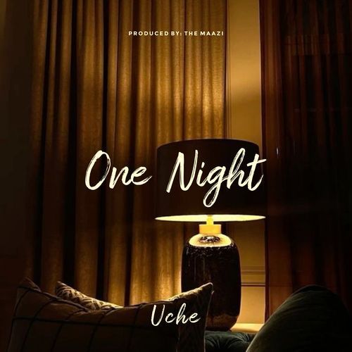 One Night_poster_image