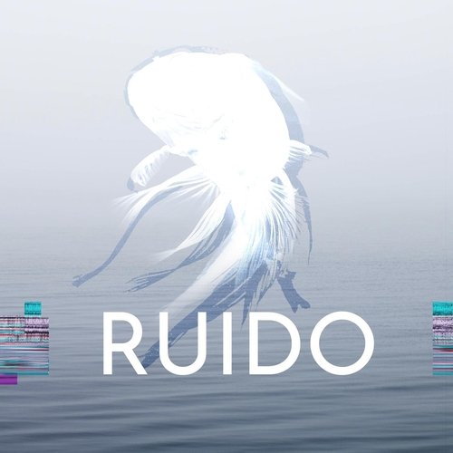 Ruido