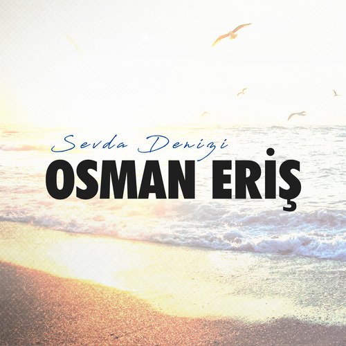 Sevda Denizi cover art