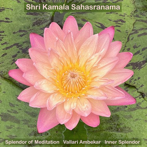 Introduction to the Thousand Names of Shri Kamala