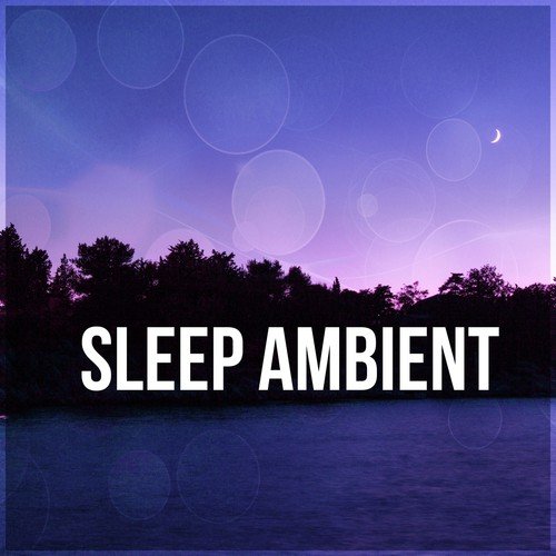 Sleep Ambient - Background Music, Natural Sleep, Sounds of Nature, Inner Silence, Anti Stress Msuic