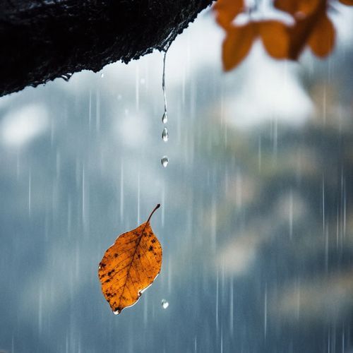 Soft Horizons (Rain)