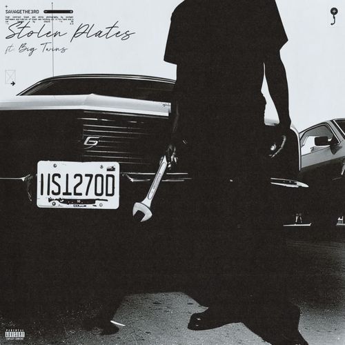 Stolen Plates cover art