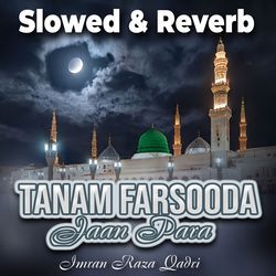 Tanam Farsooda Jaan Para (Slowed & Reverb)