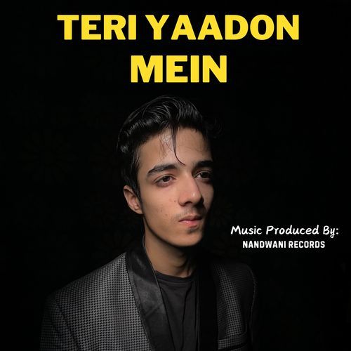 Teri Yaadon Mein