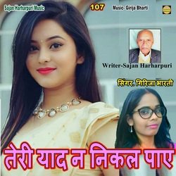 Teri Yad Na Nikal Paye