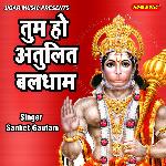 Tum Ho Atulit Baldham