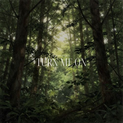 Turn Me On cover art