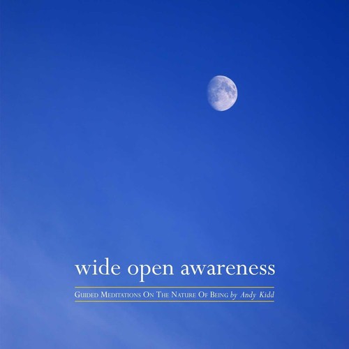 Wide Open Awareness
