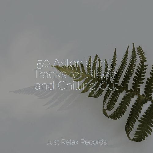 50 Astonishing Tracks for Sleep and Chilling Out_poster_image