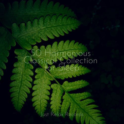 50 Harmonious Classical Collection for Sleep