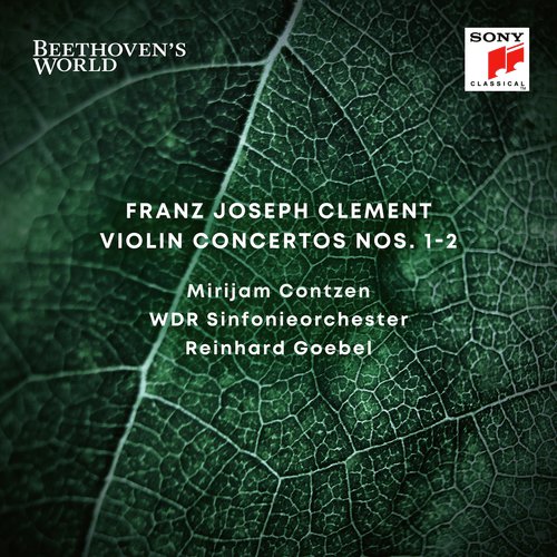 Violin Concerto No. 1 in D Major: II. Adagio