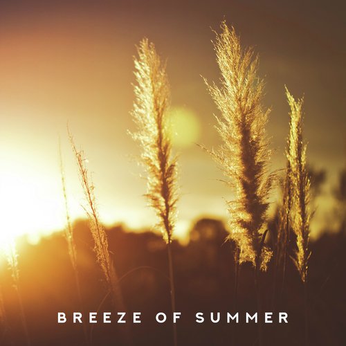 Breeze of Summer: Ibiza Vibesm, Summertime Music, Deep Chillout, Vacation Songs, Tranquil Music