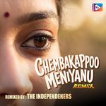 Chembakappoo Meniyanu Remix