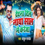 Dedna Dil Naya Sal Me Kareja