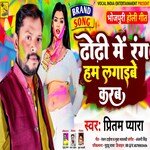 Dhori Me Rang ham lagayibe karab (Bhojpuri)