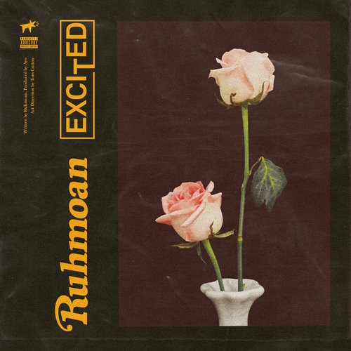 Excited cover art