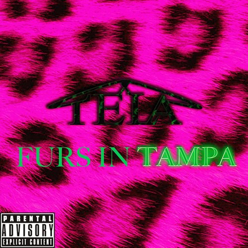 Furs in Tampa_poster_image