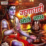 Shiv Shankar Jai Bhole Baba