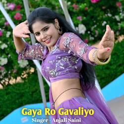 Gaya Ro Gavaliyo-HiMDdj12BGo