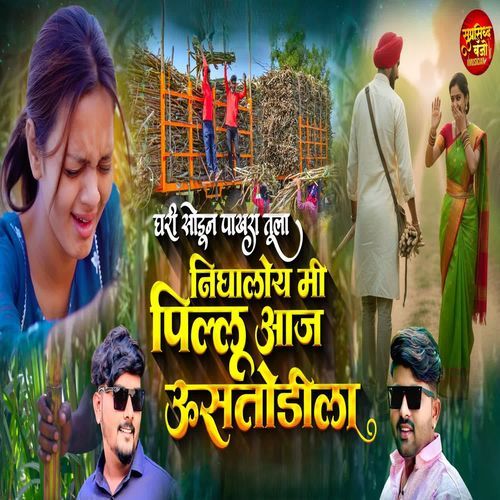 Ghari Sodun Pakhra Tula Nighaloy Mi Pillu Aaj Ustodila