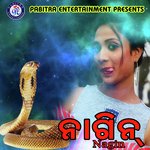 Nagin