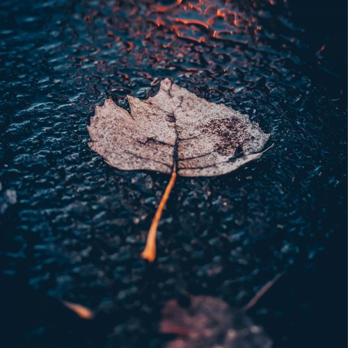 Natural Rain Sounds cover art